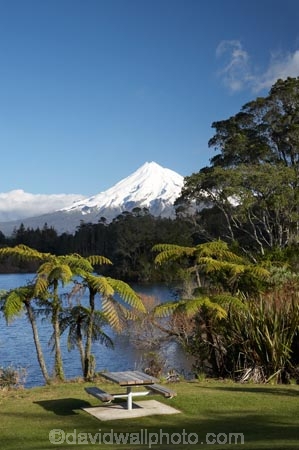 cyathea;fern;ferns;frond;fronds;lake;Lake-Mangamahoe;lakes;Mount-Egmont;Mount-Taranaki;Mount-Taranaki-Egmont;Mountain;mountainous;mountains;mt;Mt-Egmont;Mt-Taranaki;Mt-Taranaki-Egmont;mt.;Mt.-Egmont;Mt.-Taranaki;Mt.-Taranaki-Egmont;N.I.;N.Z.;New-Zealand;NI;North-Is;North-Is.;North-Island;NZ;picnic-area;picnic-areas;picnic-ground;picnic-grounds;picnic-spot;picnic-spots;plant;plants;ponga;pongas;punga;pungas;season;seasonal;seasons;snow;Taranaki;tree-fern;tree-ferns;volcanic;volcano;volcanoes;winter