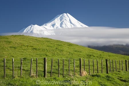 agricultural;agriculture;country;countryside;dairy-farm;dairy-farming;dairy-farms;farm;farming;farmland;farms;fence;fence-line;fence-lines;fence_line;fence_lines;fenceline;fencelines;fences;field;fields;meadow;meadows;Mount-Egmont;Mount-Taranaki;Mount-Taranaki-Egmont;Mountain;mountainous;mountains;mt;Mt-Egmont;Mt-Taranaki;Mt-Taranaki-Egmont;mt.;Mt.-Egmont;Mt.-Taranaki;Mt.-Taranaki-Egmont;N.I.;N.Z.;New-Zealand;NI;North-Is;North-Is.;North-Island;NZ;paddock;paddocks;pasture;pastures;rural;season;seasonal;seasons;snow;Taranaki;volcanic;volcano;volcanoes;winter