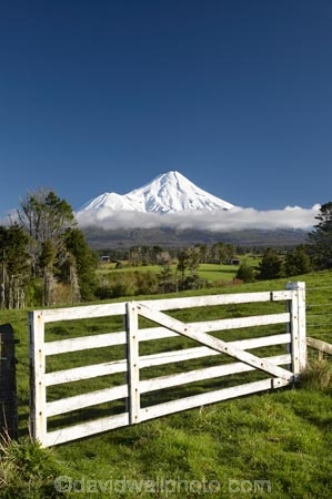 agricultural;agriculture;country;countryside;dairy-farm;dairy-farming;dairy-farms;farm;farm-gate;farm-gates;farming;farmland;farms;fence;fence-line;fence-lines;fence_line;fence_lines;fenceline;fencelines;fences;field;fields;gate;gates;gateway;gateways;meadow;meadows;Mount-Egmont;Mount-Taranaki;Mount-Taranaki-Egmont;Mountain;mountainous;mountains;mt;Mt-Egmont;Mt-Taranaki;Mt-Taranaki-Egmont;mt.;Mt.-Egmont;Mt.-Taranaki;Mt.-Taranaki-Egmont;N.I.;N.Z.;New-Zealand;NI;North-Is;North-Is.;North-Island;NZ;paddock;paddocks;pasture;pastures;rural;season;seasonal;seasons;snow;Stratford;Taranaki;volcanic;volcano;volcanoes;winter