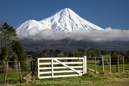 agricultural;agriculture;country;countryside;dairy-farm;dairy-farming;dairy-farms;farm;farm-gate;farm-gates;farming;farmland;farms;fence;fence-line;fence-lines;fence_line;fence_lines;fenceline;fencelines;fences;field;fields;gate;gates;gateway;gateways;meadow;meadows;Mount-Egmont;Mount-Taranaki;Mount-Taranaki-Egmont;Mountain;mountainous;mountains;mt;Mt-Egmont;Mt-Taranaki;Mt-Taranaki-Egmont;mt.;Mt.-Egmont;Mt.-Taranaki;Mt.-Taranaki-Egmont;N.I.;N.Z.;New-Zealand;NI;North-Is;North-Is.;North-Island;NZ;paddock;paddocks;pasture;pastures;rural;season;seasonal;seasons;snow;Stratford;Taranaki;volcanic;volcano;volcanoes;winter