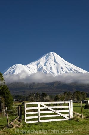 agricultural;agriculture;cloud;clouds;country;countryside;dairy-farm;dairy-farming;dairy-farms;farm;farm-gate;farm-gates;farming;farmland;farms;fence;fence-line;fence-lines;fence_line;fence_lines;fenceline;fencelines;fences;field;fields;gate;gates;gateway;gateways;meadow;meadows;Mount-Egmont;Mount-Taranaki;Mount-Taranaki-Egmont;Mountain;mountainous;mountains;mt;Mt-Egmont;Mt-Taranaki;Mt-Taranaki-Egmont;mt.;Mt.-Egmont;Mt.-Taranaki;Mt.-Taranaki-Egmont;N.I.;N.Z.;New-Zealand;NI;North-Is;North-Is.;North-Island;NZ;paddock;paddocks;pasture;pastures;rural;season;seasonal;seasons;snow;Stratford;Taranaki;volcanic;volcano;volcanoes;winter