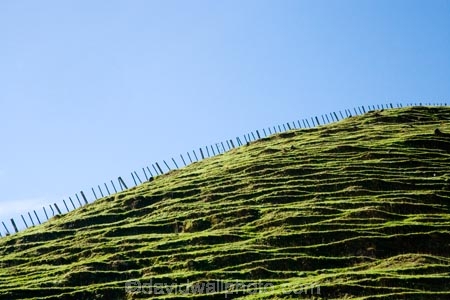 agricultural;agriculture;country;countryside;farm;farming;farmland;farms;fence;fence-line;fence-lines;fence_line;fence_lines;fenceline;fencelines;fences;field;fields;meadow;meadows;N.I.;N.Z.;New-Zealand;NI;North-Island;NZ;paddock;paddocks;pasture;pastures;rural;State-Highway-4;Wanganui;Wanganui-_-Raetihi-Road;Wanganui-Region