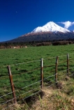 spring;grass;green;fence;fenceline;paddock;paddocks;field;fields;pasture;pastures;meadow;meadows;agriculture;rural;farm;farms;farmer;farming;lush;verdant;cow;cows;milk;mountain;snow;winter;mountains;icon;Mount-Taranaki;Mount-Egmont;taranaki;egmont;mt-taranaki;mt-egmont;mt.-tranaki;mt.-egmont;new-zealand;fence;fenceline;fences