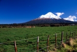 spring;grass;green;fence;fenceline;paddock;paddocks;field;fields;pasture;pastures;meadow;meadows;agriculture;rural;farm;farms;farmer;farming;lush;verdant;cow;cows;milk;mountain;snow;winter;mountains;icon;Mount-Taranaki;Mount-Egmont;taranaki;egmont;mt-taranaki;mt-egmont;mt.-tranaki;mt.-egmont;new-zealand;fence;fenceline;fences