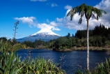 Lake-Mangamahoe;mountain;mountains;volcano;volcanoes;snow;winter;Mount-Taranaki;Mount-Egmont;taranaki;egmont;mt-taranaki;mt-egmont;mt.-taranaki;mt.-egmont;new-zealand;lakes;fern;ferns;tree;fern;tree-ferns