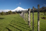 agricultural;agriculture;country;countryside;dairy-farm;dairy-farming;dairy-farms;farm;farming;farmland;farms;fence;fence-line;fence-lines;fence_line;fence_lines;fenceline;fencelines;fences;field;fields;meadow;meadows;Mount-Egmont;Mount-Taranaki;Mount-Taranaki-Egmont;Mountain;mountainous;mountains;mt;Mt-Egmont;Mt-Taranaki;Mt-Taranaki-Egmont;mt.;Mt.-Egmont;Mt.-Taranaki;Mt.-Taranaki-Egmont;N.I.;N.Z.;New-Zealand;NI;North-Is;North-Is.;North-Island;NZ;paddock;paddocks;pasture;pastures;rural;season;seasonal;seasons;snow;Taranaki;volcanic;volcano;volcanoes;winter