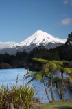 cyathea;fern;ferns;frond;fronds;lake;Lake-Mangamahoe;lakes;Mount-Egmont;Mount-Taranaki;Mount-Taranaki-Egmont;Mountain;mountainous;mountains;mt;Mt-Egmont;Mt-Taranaki;Mt-Taranaki-Egmont;mt.;Mt.-Egmont;Mt.-Taranaki;Mt.-Taranaki-Egmont;N.I.;N.Z.;New-Zealand;NI;North-Is;North-Is.;North-Island;NZ;plant;plants;ponga;pongas;punga;pungas;season;seasonal;seasons;snow;Taranaki;tree-fern;tree-ferns;volcanic;volcano;volcanoes;winter