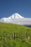 agricultural;agriculture;country;countryside;dairy-farm;dairy-farming;dairy-farms;farm;farming;farmland;farms;fence;fence-line;fence-lines;fence_line;fence_lines;fenceline;fencelines;fences;field;fields;meadow;meadows;Mount-Egmont;Mount-Taranaki;Mount-Taranaki-Egmont;Mountain;mountainous;mountains;mt;Mt-Egmont;Mt-Taranaki;Mt-Taranaki-Egmont;mt.;Mt.-Egmont;Mt.-Taranaki;Mt.-Taranaki-Egmont;N.I.;N.Z.;New-Zealand;NI;North-Is;North-Is.;North-Island;NZ;paddock;paddocks;pasture;pastures;rural;season;seasonal;seasons;snow;Taranaki;volcanic;volcano;volcanoes;winter