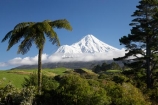 agricultural;agriculture;country;countryside;cyathea;dairy-farm;dairy-farming;dairy-farms;Egmont-N.P.;Egmont-National-Park;Egmont-NP;farm;farming;farmland;farms;fern;ferns;field;fields;frond;fronds;meadow;meadows;Mount-Egmont;Mount-Taranaki;Mount-Taranaki-Egmont;Mountain;mountainous;mountains;mt;Mt-Egmont;Mt-Taranaki;Mt-Taranaki-Egmont;mt.;Mt.-Egmont;Mt.-Taranaki;Mt.-Taranaki-Egmont;N.I.;N.Z.;New-Zealand;NI;North-Is;North-Is.;North-Island;NZ;paddock;paddocks;pasture;pastures;plant;plants;ponga;pongas;punga;pungas;rural;season;seasonal;seasons;snow;Taranaki;tree-fern;tree-ferns;volcanic;volcano;volcanoes;winter