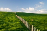agricultural;agriculture;country;countryside;farm;farming;farmland;farms;fence;fence-line;fence-lines;fence_line;fence_lines;fenceline;fencelines;fences;field;fields;meadow;meadows;N.I.;N.Z.;New-Zealand;NI;North-Island;NZ;paddock;paddocks;pasture;pastures;rural;Wanganui;Wanganui-Region