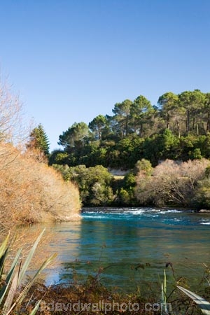 N.I.;N.Z.;New-Zealand;NI;North-Island;NZ;river;rivers;Taupo;Waikato-River