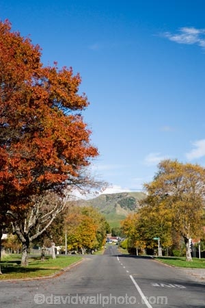 autuminal;autumn;autumn-colour;autumn-colours;autumnal;Central-Plateau;color;colors;colour;colours;deciduous;fall;leaf;leaves;N.I.;N.Z.;New-Zealand;NI;North-Island;NZ;Raetihi;road;roads;Ruapehu-Region;season;seasonal;seasons;street;streets;tree;trees
