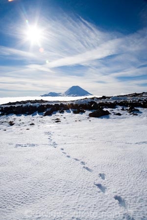 alpine;central-plateau;cold;foot-print;foot-prints;foot-step;foot-steps;foot-trail;foot-trails;footprint;footprints;footstep;footsteps;freeze;freezing;Mount-Ngauruhoe;Mountain;mountainous;mountains;mt;Mt-Ngauruhoe;Mt-Ruapehu;mt.;Mt.-Ngauruhoe;N.I.;N.Z.;New-Zealand;NI;North-Island;NZ;ruapehu-district;Scoria-Flat;Scoria-Flats;season;seasonal;seasons;snow;snowing;snowy;Tongariro-N.P.;Tongariro-National-Park;Tongariro-NP;track;tracks;trail;trails;volcanic;volcanic-plateau;volcano;volcanoes;white;winter;wintery;World-Heritage-Area;World-Heritage-Areas;World-Heritage-Site;World-Heritage-Sites