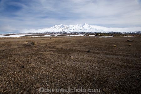central-plateau;cold;desert;Desert-Raod;deserts;freeze;freezing;Mount-Ruapehu;Mountain;mountainous;mountains;mt;Mt-Ruapehu;mt.;Mt.-Ruapehu;N.I.;N.Z.;New-Zealand;NI;North-Island;NZ;Rangipo-Desert;ruapehu-district;season;seasonal;seasons;snow;snowing;snowy;Tongariro-N.P.;Tongariro-National-Park;Tongariro-NP;Turkino-Road;volcanic;volcanic-plateau;volcano;volcanoes;white;winter;wintery;World-Heritage-Area;World-Heritage-Areas;World-Heritage-Site;World-Heritage-Sites