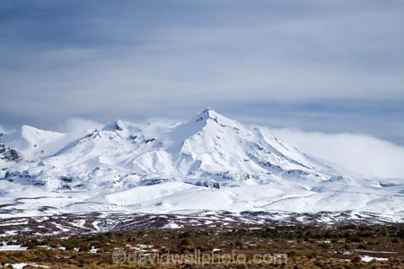 alpine;central-plateau;cold;desert;Desert-Raod;deserts;freeze;freezing;Mount-Ruapehu;Mountain;mountainous;mountains;mt;Mt-Ruapehu;mt.;Mt.-Ruapehu;N.I.;N.Z.;New-Zealand;NI;North-Island;NZ;Rangipo-Desert;ruapehu-district;season;seasonal;seasons;snow;snowing;snowy;Tongariro-N.P.;Tongariro-National-Park;Tongariro-NP;Turkino-Road;volcanic;volcanic-plateau;volcano;volcanoes;white;winter;wintery;World-Heritage-Area;World-Heritage-Areas;World-Heritage-Site;World-Heritage-Sites