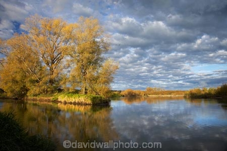 autuminal;autumn;autumn-colour;autumn-colours;autumnal;calm;Central-North-Island;cloud;clouds;cloudy;color;colors;colour;colours;deciduous;fall;leaf;leaves;N.I.;N.Z.;New-Zealand;NI;North-Island;NZ;placid;quiet;reflection;reflections;river;rivers;season;seasonal;seasons;serene;smooth;still;Taupo;tranquil;tree;trees;Waikato-River;water;willow;willow-tree;willow-trees;willows