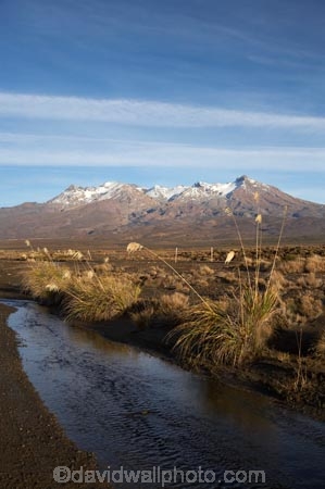 alpine;brook;brooks;central-plateau;creek;creeks;desert;Desert-Road;deserts;flow;Mount-Ruapehu;Mountain;mountainous;mountains;mt;Mt-Ruapehu;mt.;Mt.-Ruapehu;N.I.;N.Z.;New-Zealand;NI;North-Island;NZ;Rangipo-Desert;ruapehu-district;stream;streams;toetoe;toetoes;Tongariro-N.P.;Tongariro-National-Park;Tongariro-NP;Turkino-Road;volcanic;volcanic-plateau;volcano;volcanoes;water;wet;World-Heritage-Area;World-Heritage-Areas;World-Heritage-Site;World-Heritage-Sites