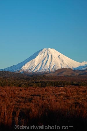 alpenglo;alpenglow;alpine;alpinglo;alpinglow;break-of-day;central;Central-North-Island;Central-Plateau;cold;color;colors;colour;colours;dawn;dawning;daybreak;first;first-light;island;light;morning;Mount-Ngauruhoe;mountain;mountainous;mountains;mt;Mt-Ngauruhoe;mt.;Mt.-Ngauruhoe;N.I.;N.Z.;national;National-Park;national-parks;new;new-zealand;ngauruhoe;NI;north;North-Is;north-island;NP;Nth-Is;NZ;orange;park;plateau;Rangipo-Desert;Ruapehu-District;season;seasonal;seasons;snow;snowy;sunrise;sunrises;sunup;tongariro;Tongariro-N.P.;Tongariro-National-Park;Tongariro-NP;twilight;volcanic;volcanic-plateau;volcano;volcanoes;w3a9592;white;winter;wintery;World-Heritage-Area;World-Heritage-Areas;World-Heritage-Site;World-Heritage-Sites;zealand