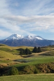 agricultural;agriculture;alpine;central-plateau;country;countryside;farm;farming;farmland;farms;field;fields;meadow;meadows;Mount-Ruapehu;Mountain;mountainous;mountains;mt;Mt-Ruapehu;mt.;Mt.-Ruapehu;N.I.;N.Z.;New-Zealand;NI;North-Island;NZ;paddock;paddocks;pasture;pastures;ruapehu-district;rural;Tongariro-N.P.;Tongariro-National-Park;Tongariro-NP;volcanic;volcanic-plateau;volcano;volcanoes;World-Heritage-Area;World-Heritage-Areas;World-Heritage-Site;World-Heritage-Sites