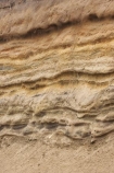 ash-layer;ash-layers;bank;brown;cutting;Desert-Road;dirt;earth;eroded;erruption;erruptions;Geological;geology;ground;horizontal;Mt-Ruapehu;N.I.;N.Z.;New-Zealand;NI;North-Is.;North-Island;NZ;seam;soil-layer;soil-layers;soil-profile;soil-profiles;strata;stratum;texture;volcanic;volcanic-ash-layer;volcanic-ash-layers;volcanic-deposits;volcanic-layer;Volcanic-Layers;volcanic-soil;volcanic-soil-layer;volcanic-soil-layers;volcanic-soils;volcano;volcanoes