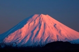 alpenglo;alpenglow;alpine;alpinglo;alpinglow;break-of-day;central;Central-North-Island;Central-Plateau;cold;color;colors;colour;colours;dawn;dawning;daybreak;first-light;island;morning;Mount-Ngauruhoe;mountain;mountainous;mountains;mt;Mt-Ngauruhoe;mt.;Mt.-Ngauruhoe;N.I.;N.Z.;national;National-Park;national-parks;new;new-zealand;ngauruhoe;NI;north;North-Is;north-island;NP;Nth-Is;NZ;orange;park;pink;plateau;Ruapehu-District;season;seasonal;seasons;snow;snowy;sunrise;sunrises;sunup;tongariro;Tongariro-N.P.;Tongariro-National-Park;Tongariro-NP;twilight;volcanic;volcanic-plateau;volcano;volcanoes;w3a9512;white;winter;wintery;World-Heritage-Area;World-Heritage-Areas;World-Heritage-Site;World-Heritage-Sites;zealand