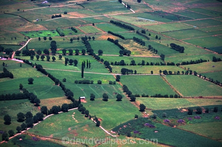 agriculture;farm;farms;fence;fenceline;fences;field;fields;grass;green;hedgerow;hedgerows;lush;meadow;meadows;paddock;paddocks;pasture;pastures;plain;plains;rural;spring;verdant