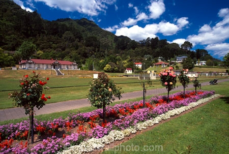 collection;flower;flowerbed;flowerbeds;flowers;musuems;rose;roses