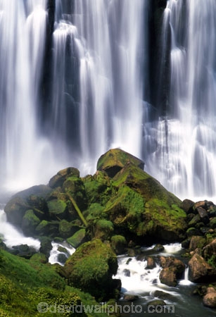 brook;calm;calmness;fern;forest;green;native-bush;natural;nature;stream;water;water-falls;waterfall;waterfalls