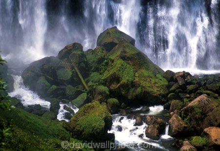 brook;calm;calmness;fern;forest;green;native-bush;natural;nature;stream;water;water-falls;waterfall;waterfalls