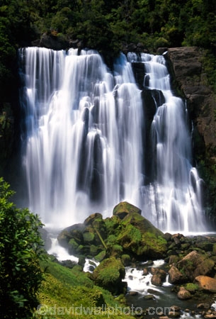 brook;calm;calmness;fern;forest;green;native-bush;natural;nature;stream;water;water-falls;waterfall;waterfalls