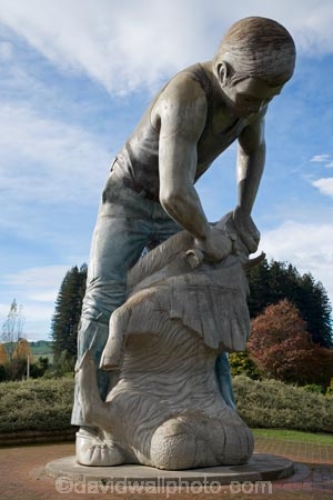 agricultural;agriculture;big-shearer-statue;farm;farming;farms;giant-shearer-statue;King-Country;N.I.;N.Z.;New-Zealand;NI;North-Island;NZ;rural;Shearer-Statue;shearers;shearing;statue;statues;Te-Kuiti;Waikato