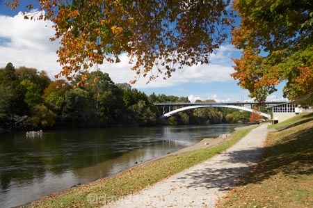 autuminal;autumn;autumn-colour;autumn-colours;autumnal;bridge;bridges;color;colors;colour;colours;deciduous;fall;Hamilton;leaf;leaves;N.I.;N.Z.;New-Zealand;NI;North-Island;NZ;path;paths;pathway;pathways;river;rivers;season;seasonal;seasons;tree;trees;Victoria-Bridge;Waikato;Waikato-River