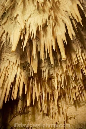 Aranui-Cave;Aranui-Caves;cave;cavern;caverns;caves;caving;geographic;geographical;geography;geological-feature;geological-features;geological-formation;geological-formations;King-Country;limestone-cave;limestone-caves;N.I.;N.Z.;nature;New-Zealand;NI;North-Island;NZ;potholing;spelunk;spelunking;stalactite;stalactites;stalagmite;stalagmites;tourism;travel;under-ground;under_ground;underground;Waikato;Waitomo;Waitomo-Cave;Waitomo-Caves