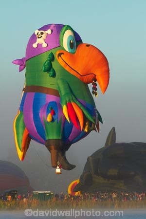 adventure;air;aviation;balloon;ballooning;balloons;Balloons-over-Waikato;Balloons-over-Waikato-Festival;flight;float;floating;fly;flying;Hamilton-Lake;Hamilton-Lake-Domain;hot-air-balloon;hot-air-ballooning;hot-air-balloons;Hot-Air-Balloons-over-Waikato;Hot_air-Balloon;hot_air-ballooning;hot_air-balloons;hotair-balloon;hotair-balloons;Innes-Common;lake;Lake-Domain-Reserve;Lake-Hamilton;Lake-Rotoroa;lakes;N.Z.;New-Zealand;North-Is;North-Island;Nth-Is;NZ;Peg-Leg-Pete-the-Pirate-Parrot-Balloon;Peg-Leg-Pete-the-Pirate-Parrot-Hot-Air-Balloon;Pirate-Parrot-Balloon;Pirate-Parrot-Hot-Air-Balloon;transport;transportation;Waikato;Waikato-Balloon-Festival;Waikato-Hot-Air-Balloon-Festival