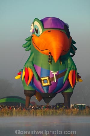 adventure;air;aviation;balloon;ballooning;balloons;Balloons-over-Waikato;Balloons-over-Waikato-Festival;flight;float;floating;fly;flying;Hamilton-Lake;Hamilton-Lake-Domain;hot-air-balloon;hot-air-ballooning;hot-air-balloons;Hot-Air-Balloons-over-Waikato;Hot_air-Balloon;hot_air-ballooning;hot_air-balloons;hotair-balloon;hotair-balloons;Innes-Common;lake;Lake-Domain-Reserve;Lake-Hamilton;Lake-Rotoroa;lakes;N.Z.;New-Zealand;North-Is;North-Island;Nth-Is;NZ;Peg-Leg-Pete-the-Pirate-Parrot-Balloon;Peg-Leg-Pete-the-Pirate-Parrot-Hot-Air-Balloon;Pirate-Parrot-Balloon;Pirate-Parrot-Hot-Air-Balloon;transport;transportation;Waikato;Waikato-Balloon-Festival;Waikato-Hot-Air-Balloon-Festival