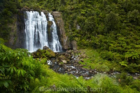 cascade;cascades;fall;falls;Marokopa-Fall;Marokopa-Falls;Marokopa-River;N.Z.;natural;nature;New-Zealand;North-Is;North-Island;Nth-Is;NZ;scene;scenic;Waikato;Waikato-Region;Waitomo-District;water;water-fall;water-falls;waterfall;waterfalls;wet