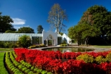 botanic-garden;botanic-gardens;botanical-garden;botanical-gardens;flower;flower-bed;flower-beds;flower-garden;flower-gardens;flowers;fountain;fountains;garden;gardens;Hamilton-Garden;Hamilton-Gardens;N.Z.;New-Zealand;North-Is;North-Island;Nth-Is;NZ;pond;ponds;public-garden;public-gardens;red;red-flower;red-flowers;Victorian-Flower-Garden;Victorian-Flower-Gardens;Victorian-Garden-Conservatory;Waikato;water-feature;water-features