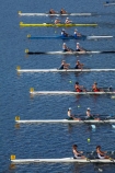 dam;dams;double-scull;double-scull-race;double-sculler;double-scullers;double-sculling;lake;Lake-Karipiro;lakes;Maadi-Cup;Maadi-Cup-Regatta;N.Z.;New-Zealand;New-Zealand-Secondary-Schools-Rowing-Regatta;North-Is;North-Island;Nth-Is;NZ;racing-shell;racing-shells;regatta;regattas;reservoir;reservoirs;river;rivers;rowboat;rowboats;rowing;rowing-boat;rowing-boats;rowing-race;rowing-races;rowing-regatta;rowing-regattas;rowing-venue;rowing-venues;Waikato;Waikato-River