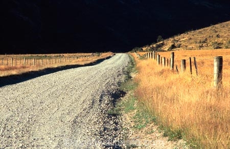 road;dirt-road;fence;fences;grass;high-grass;isolated;rural