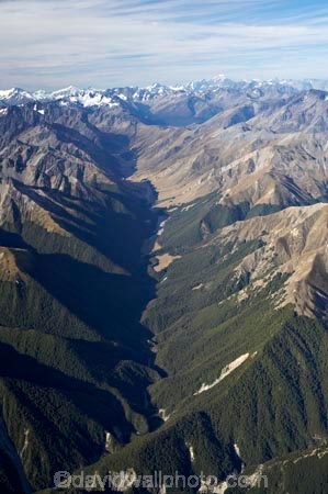 aerial;aerial-photo;aerial-photography;aerial-photos;aerials;bush-native-bush;Dingle-Burn;Dingleburn;forrest;Lake-Hawea;N.Z.;native-forrest;New-Zealand;NZ;ravine;ravines;rough;South-Island;Southern-Alps;valley;valleys;wild
