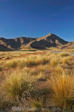 Central-Otago;high-country;highcountry;highland;highlands;Lindis-Pass;mountain;mountains;N.Z.;New-Zealand;North-Otago;NZ;Otago;range;ranges;ridge;ridgeline;ridgelines;ridges;SI;snow-tussock;snow-tussocks;South-Island;tussock;tussock-land;tussock-lands;tussockland;tussocklands;tussocks;uplands