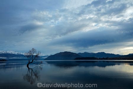 calm;Central-Otago;cloud;clouds;cloudy;lake;Lake-Wanaka;lakes;N.Z.;New-Zealand;NZ;Otago;placid;quiet;reflected;reflection;reflections;serene;SI;smooth;South-Island;Sth-Is;still;that-tree;that-wanaka-tree;thattree;thatwanakatree;tranquil;tree;tree-in-lake;trees;Wanaka;Wanaka-Tree;water;willow;willow-tree;willow-trees;willows