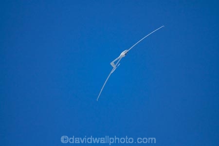 aerobatic-display;Aerobatic-maneuver;aviate;aviation;aviator;aviators;flies;fly;flying;glide;glider;gliders;glides;gliding;loop;loop-de-loop;loop_de_loop;N.Z.;New-Zealand;NZ;Otago;S.I.;sail-plane;sail-planes;sail-planing;sail_plane;sail_planes;sail_planing;sailplane;sailplanes;sailplaning;SI;soar;soaring;South-Is;South-Island;Sth-Is;Wanaka;Warbirds-over-Wanaka;wing;wings
