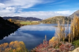 autuminal;autumn;autumn-colour;autumn-colours;autumnal;briar;briar-bush;briar-bushes;briars;calm;Central-Otago;color;colors;colour;colours;deciduous;fall;Glendhu-Bay;lake;Lake-Wanaka;lakes;leaf;leaves;N.Z.;New-Zealand;NZ;Otago;Paddock-Bay;placid;poplar;poplar-tree;poplar-trees;poplars;quiet;reflection;reflections;rosehip;rosehip-bush;rosehip-bushes;rosehips;S.I.;season;seasonal;seasons;serene;SI;smooth;South-Island;Southern-Lakes;Southern-Lakes-District;Southern-Lakes-Region;still;tranquil;tree;trees;Wanaka;water;willow;willow-tree;willow-trees;willows