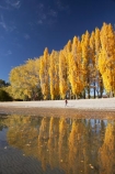 autuminal;autumn;autumn-colour;autumn-colours;autumnal;calm;Central-Otago;color;colors;colour;colours;deciduous;fall;female;girl;girls;golden;lake;Lake-Wanaka;lakes;leaf;leaves;N.Z.;New-Zealand;NZ;Otago;people;person;persons;placid;poplar;poplar-tree;poplar-trees;poplars;quiet;reflection;reflections;S.I.;season;seasonal;seasons;serene;SI;smooth;South-Is.;South-Island;Southern-Lakes;Southern-Lakes-District;Southern-Lakes-Region;still;tranquil;tree;trees;Wanaka;water;woman;women;yellow