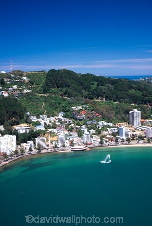 beaches;sand;gravel;water;sea;ocean;harbor;harbors;harbours;harbour;swim;swimming;swimmer;swimmers;sunbathe;sun-bathe;summer;play;capital;shoreline;waterfront;capital-city;coast;coastla;oriental-bay;wellington;aerial;aerials;fountain;fountains;north-island;marine-parade