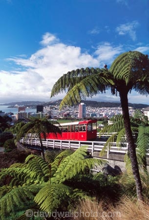 capital;fern;ferns;historic;historical;rail;red;Tourism;tourist;tram;tramway