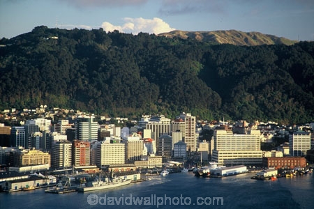 harbor;harbour;waterfront;port;nicholson;skyline;sky-scrapers;offices;blocks;highrise;cbd;central;business;district;water;ships;ferry;terminal;marina