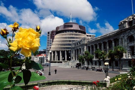 capital;government;governments;historical;historic;building;buildings;member;members;cabinet;mp;mps;columns;cabbage;tree;trees;prime;minister;parliament;wellington;capitals;beehive;rose;roses;flower;flowers;yellow