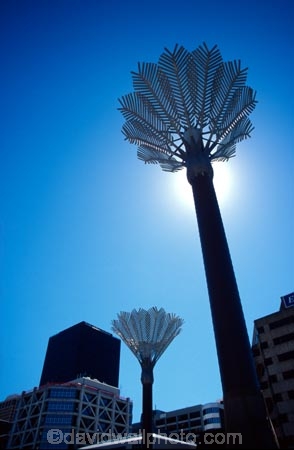 art;culture;capital;native;nikau;palm;sculpture;sculptures;statue;statues;palms;nikaus;civic-square;wellington;public-art-works;metal